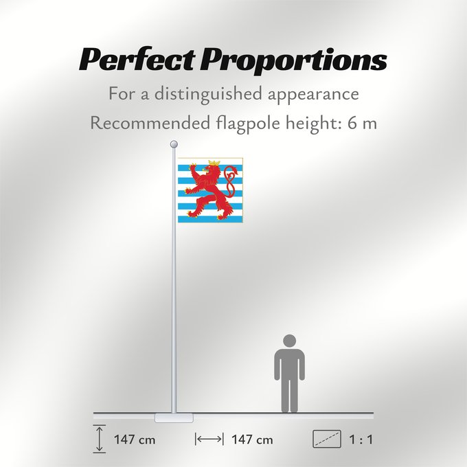 Flag Proportions: Army Colours of Luxembourg Obverse