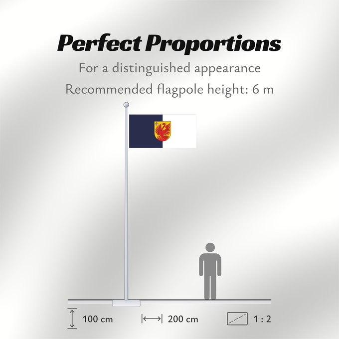 Flag Proportions: Dagda