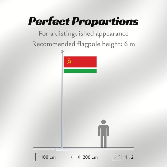 Flag Proportions: Lithuanian Soviet Socialist Republic  1953–1988	Lithuanian Soviet Socialist Republic (1953–1988)	RSS de Lituanie (1953–1988)	República Socialista Soviética de Lituania (1953–1988)	Litauische SSR (1953–1988)	Repubblica Socialista Sovietica Lituana (1953–19