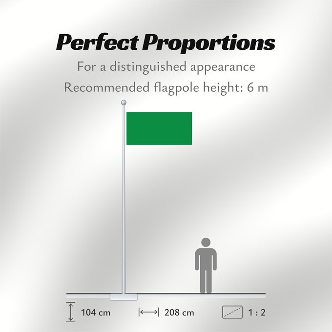 Flag Proportions: Libya  1977-2011	The national flag of the Libyan Jamahiriya from 1977 to 2011	La Libye 1977 à 2011	Libia	Libyens von 1977 bis 2011	Libië van 1977 tot 2011	Líbia	Pl Flaga Libii	Libië	علم ليبيا	Banniel Libia	Liibüa lipp	דגל לוב	リビアの国旗  1977年-2011年	Libyas fl