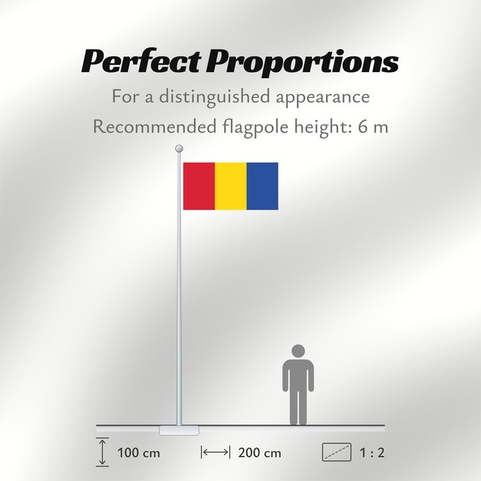 Flag Proportions: Moldova back	Back of the flag of Moldova  1990-2010	Achterkant van de vlag van Moldavië  1990-2010