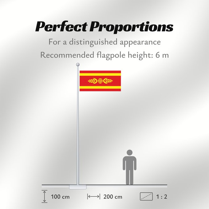 Flag Proportions: Kocani Municipality, North Macedonia Kočani Municipality, Macedonia Municipalité de Kočani Municipio de Kočani Gemeinde Kočani Comune di Kočani Грб на Општина Кочани