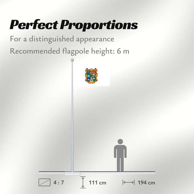 Flag Proportions: Tamaulipas