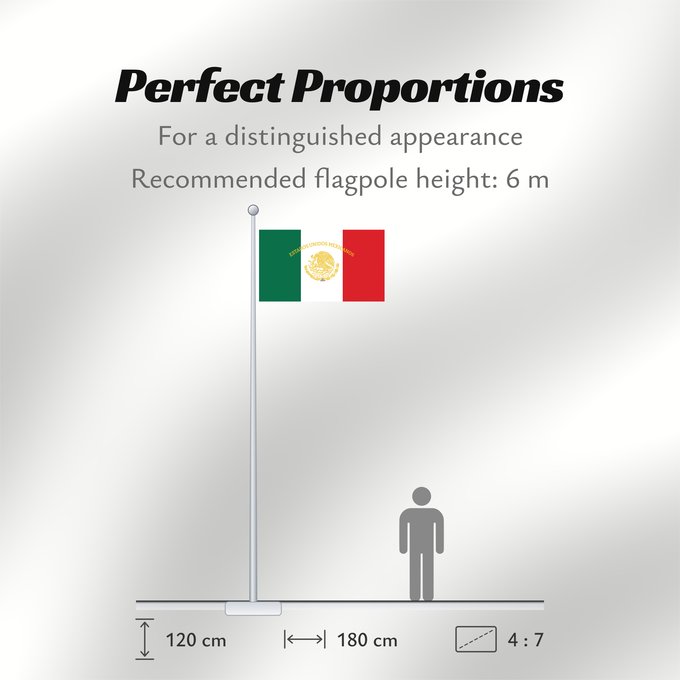 Flag Proportions: Mexican Presidential Standard