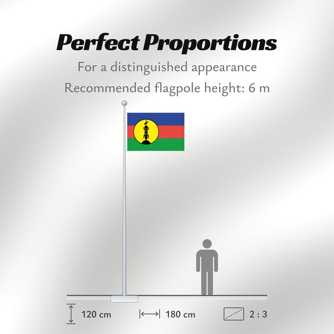 Flag Proportions: FLNKS	Kanak and Socialist National Liberation Front political party	Front de libération nationale kanak et socialiste	Colores Pantone http //www	Neukaledonien	Nuova Caledonia	Front d Alliberament Nacional Canac Socialista