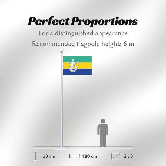 Flag Proportions: Eemsmond Dutch municipality of Eemsmond