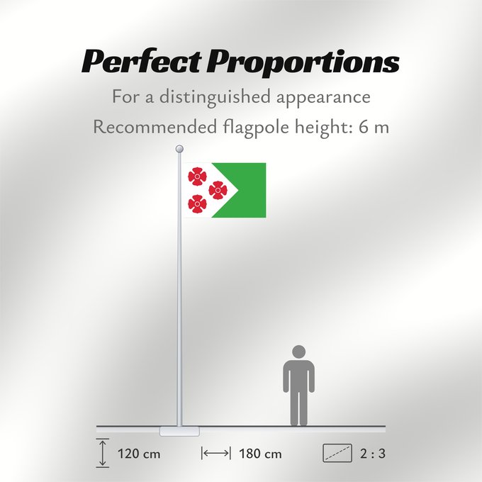 Flag Proportions: Maasdonk Dutch municipality of Maasdonk