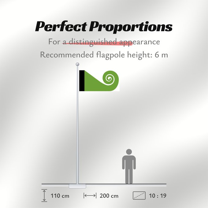 Flag Proportions: Koru This image shows the popular Koru Flag