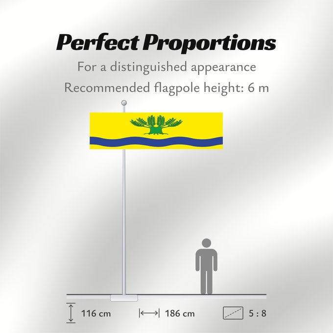 Flag Proportions: POL gmina Malbork	Gmina Malbork, Poland	Gminy Malbork, woj. pomorskie