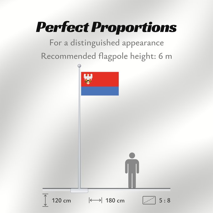 Flag Proportions: POL gmina Połaniec
