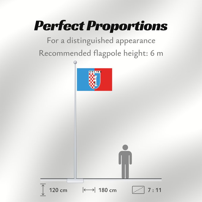 Flag Proportions: POL Golina	Goliny