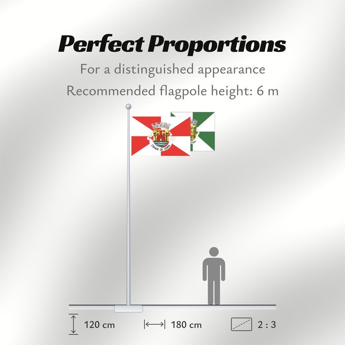 Flag Proportions: Leiria