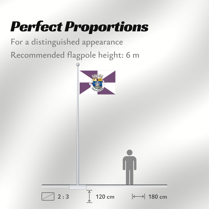 Flag Proportions: Setúbal
