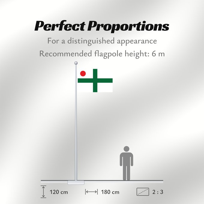 Flag Proportions: PT Vice Admiral