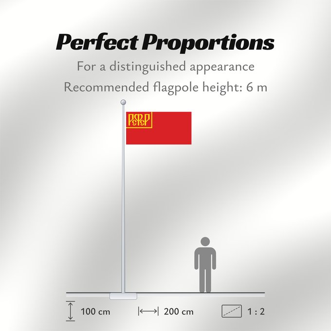Flag Proportions: RSFSR 1918