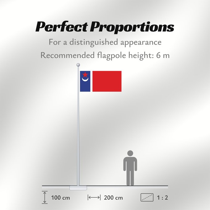 Flag Proportions: Tatarstan 1991 proposal 1991 proposal for the flag of Tatarstan by T Tatarstan (proposition de 1991) Tatarstán (propuesta de 1991) Tatarstan (1991 Entwurf) Tatarstan (proposta 1991) Предложенный в 1991 году Т