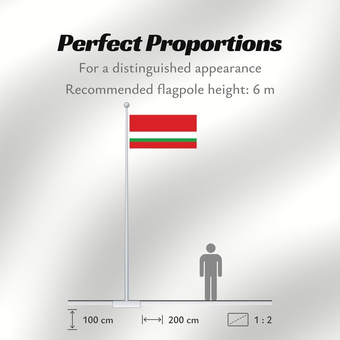 Flag Proportions: Tajik Soviet Socialist Republic  1953–1991 ; Flag of Tajikistan  1991–1992   reverse	Reversed flag of the Tajik SSR  1953–1991  and Tajikistan  1991–1992	RSS du Tadjikistan (1953–1991) / Tadjikistan (1991–1992) (en revers)	RSS de Tayikistán (1953–1991) / 