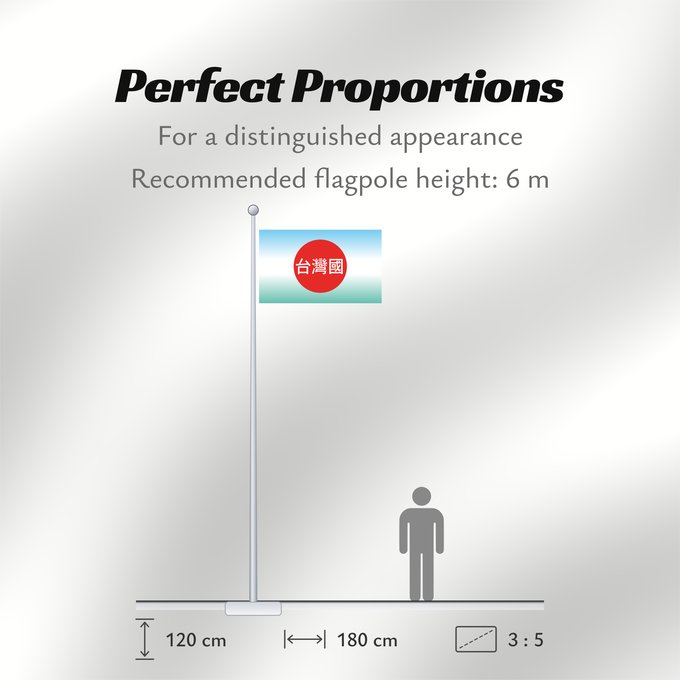 Flag Proportions: 908台灣國運動