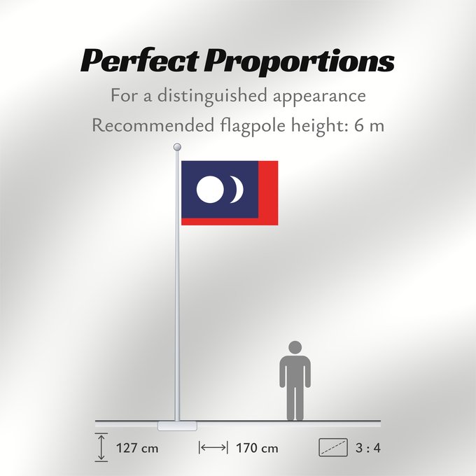 Flag Proportions: Blue Ground White Sun and Moon	Blue Ground	Drapeau sur fond bleu avec soleil et lune blancs (République de Taïwan, Gouvernement provisoire à Tokyo)	Bandera de Fondo Azul con Sol y Luna Blancos (República de Taiwán, Gobierno Provisional en Tokio)	Flagge au