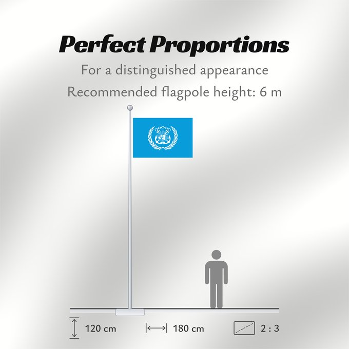 Flag Proportions: International Maritime Organization