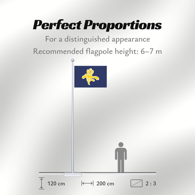Flag Proportions: Brussels-Capital Region 1991–2015 Brussels-Capital Region between 1991 and 2015 Brüssel Bruselas Bruxelles Fändel vun der Haaptstadregioun Bréissel Прапор Брюсселю