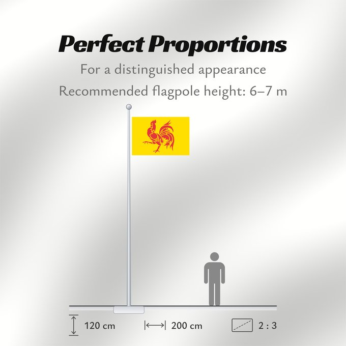 Flag Proportions: Wallonia Wallonia (Walloon Region) Wallonie Walloon region Wallonien Regione vallona Wallonië Banniel Wallonia پرچم والونی Прапор Валлонії Drapea walon