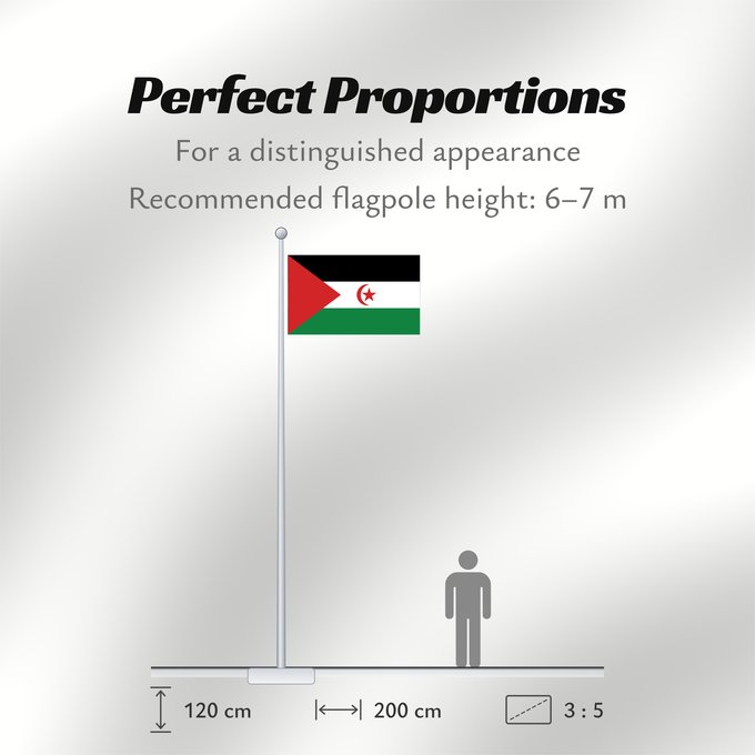 Flag Proportions: Sahrawi Arab Democratic Republic Western Sahara République arabe sahraouie démocratique República Árabe Saharaui Democrática Demokratischen Arabischen Republik Sahara Repubblica Democratica Araba Sahrawi Arabische Democratische Republiek Sahara República