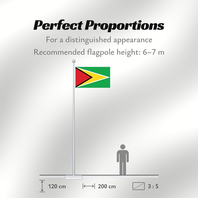 Flag Proportions: Guyana Guiana Wayana wiphala Gujano Gwayana Wayana unancha Флаг Гайаны Guyanas Quốc kỳ Guyana