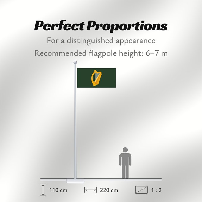 Flag Proportions: Leinster	W Leinster