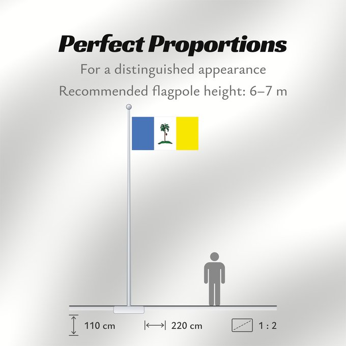 Flag Proportions: Pulau Pinang
