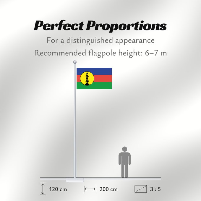 Flag Proportions: FLNKS Kanak and Socialist National Liberation Front political party Front de libération nationale kanak et socialiste Colores Pantone http //www Neukaledonien Nuova Caledonia Front d Alliberament Nacional Canac Socialista