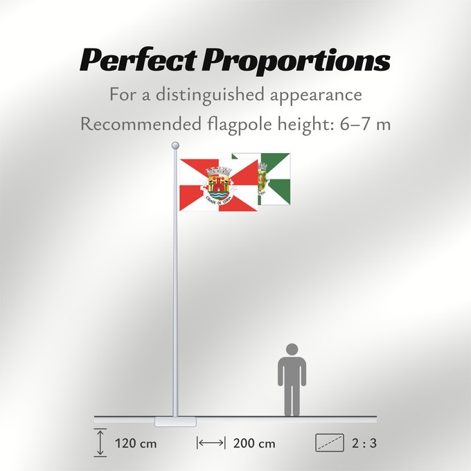 Flag Proportions: Leiria