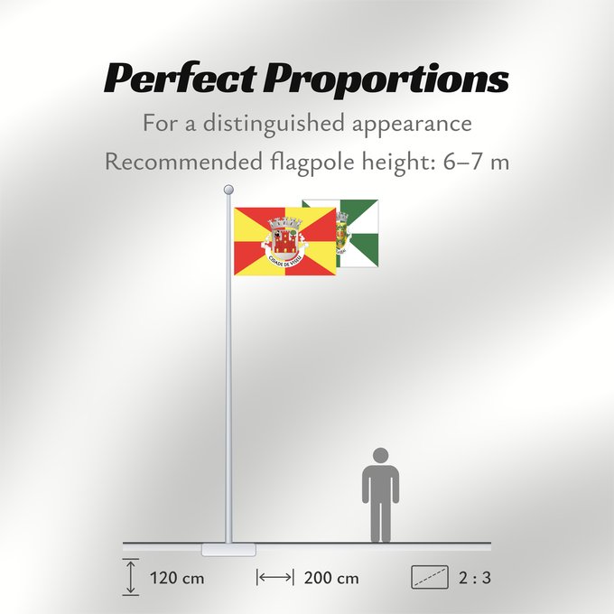 Flag Proportions: Viseu