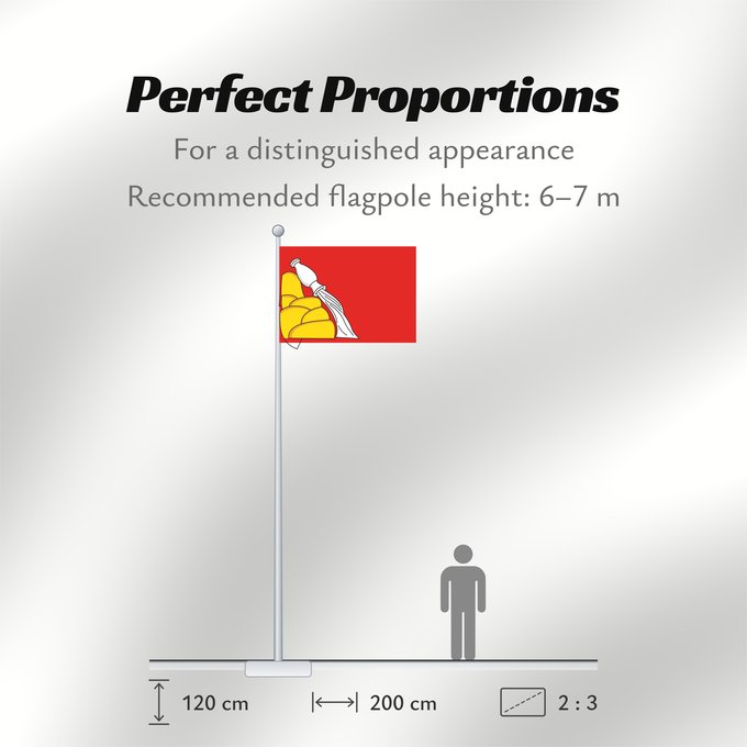 Flag Proportions: Voronezh Oblast Voronezh Oblast of Russia Oblast de Voronej Óblast de Vorónezh Oblast Woronesch Флаг Воронежской области Россия Прапор Воронезької області Росія