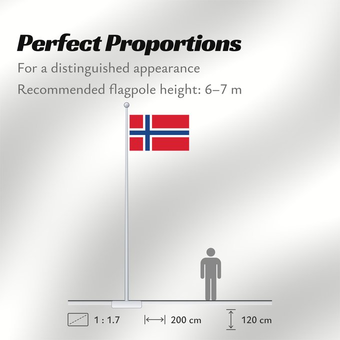 Flag Proportions: Svalbard and Jan Mayen