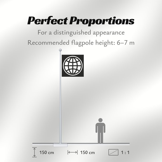 Flag Proportions: The World Bank Group