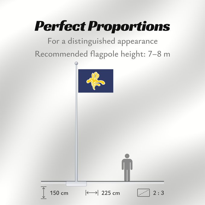Flag Proportions: Brussels-Capital Region 1991–2015 Brussels-Capital Region between 1991 and 2015 Brüssel Bruselas Bruxelles Fändel vun der Haaptstadregioun Bréissel Прапор Брюсселю