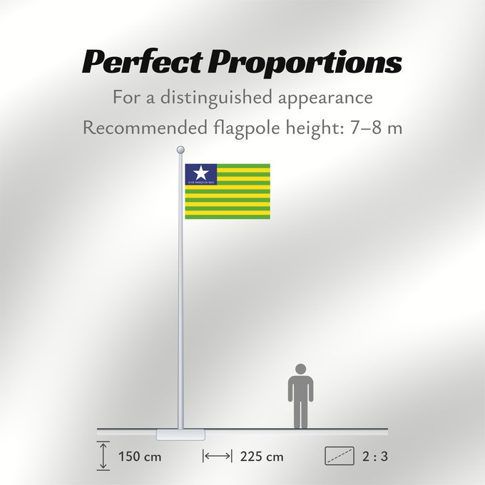 Flag Proportions: Piauí