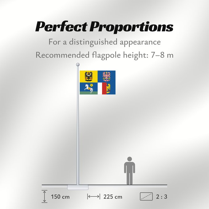 Flag Proportions: Moravian-Silesian Region	Région de Moravie-Silésie	Región de Moravia-Silesia	Moravian-Silesian	Moravskoslezského kraje čtvrcený list v horním žerďovém žlutém poli slezská orlice v dolním žerďovém modrém poli na zeleném trávníku