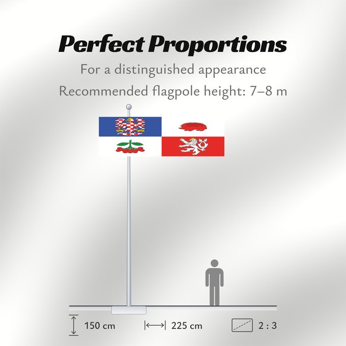 Flag Proportions: Vysocina Region Vysočina Region Région de Vysočina Región de Vysočina Region Vysočina