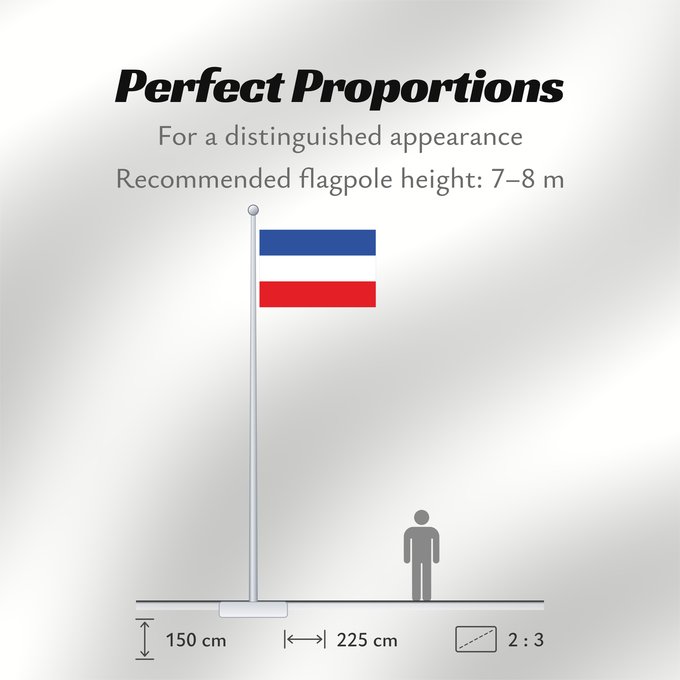 Flag Proportions: Schleswig-Holstein