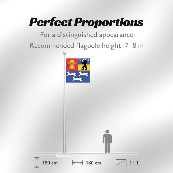 Flag Proportions: Länsi-Suomen lääni