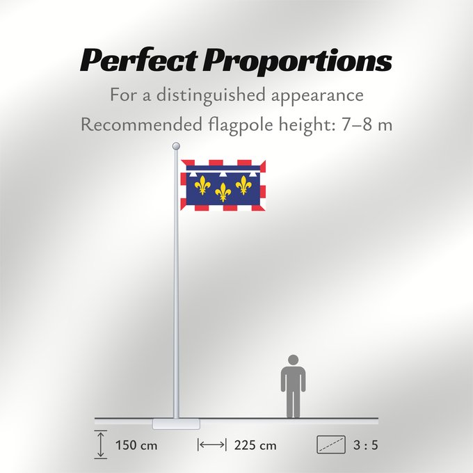 Flag Proportions: Centre-Val de Loire Unofficial flag of Centre region in France Non-officiel de la région Centre-Val de Loire en France Centro Centre Banniel anofisiel Kreiz-Traoñ al Liger e Frañs