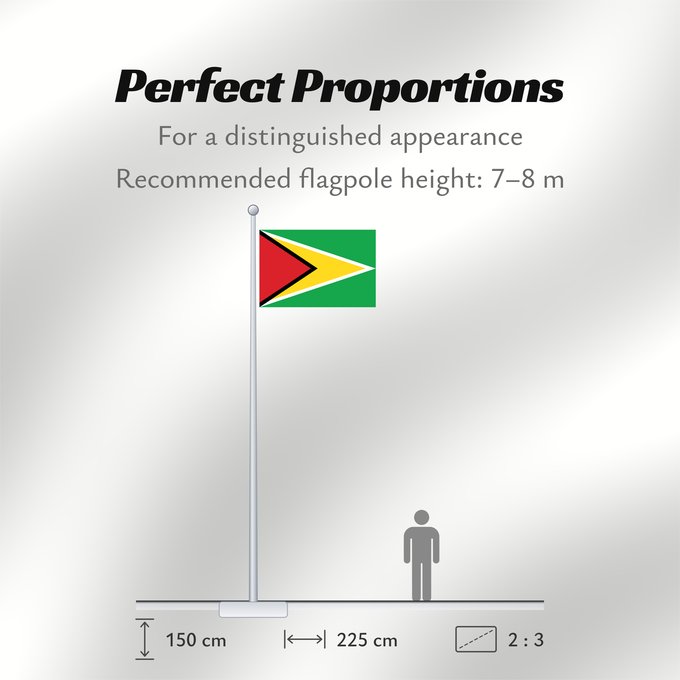 Flag Proportions: Guyana Guiana Wayana wiphala Gujano Gwayana Wayana unancha Флаг Гайаны Guyanas Quốc kỳ Guyana