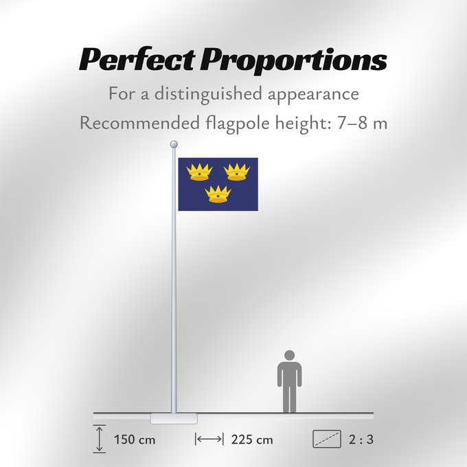 Flag Proportions: Munster