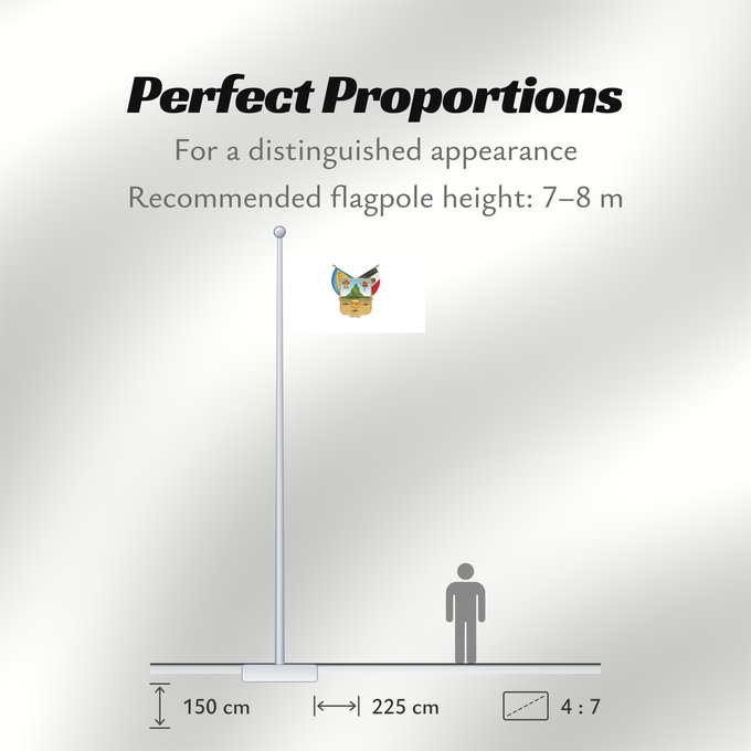 Flag Proportions: Hidalgo	hidalgo y fidalgo