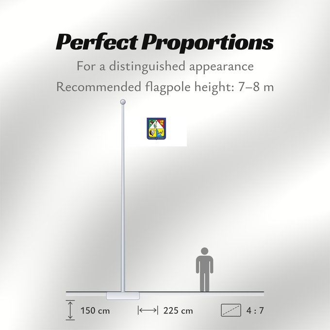 Flag Proportions: Sonora