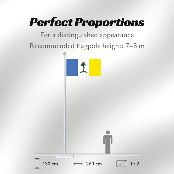Flag Proportions: Pulau Pinang