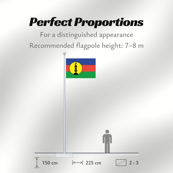 Flag Proportions: FLNKS Kanak and Socialist National Liberation Front political party Front de libération nationale kanak et socialiste Colores Pantone http //www Neukaledonien Nuova Caledonia Front d Alliberament Nacional Canac Socialista