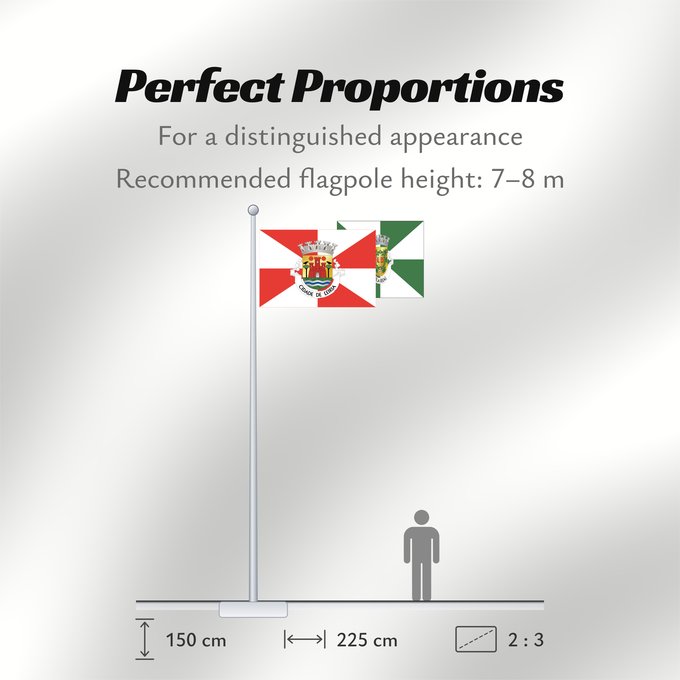 Flag Proportions: Leiria